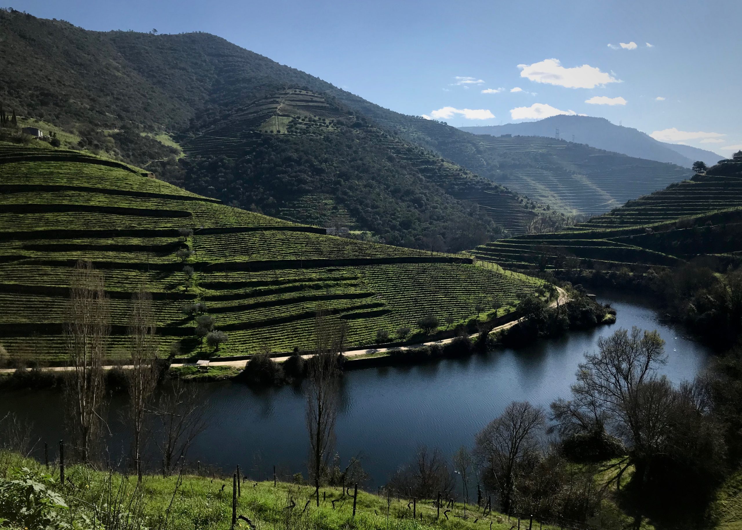 douro - 1